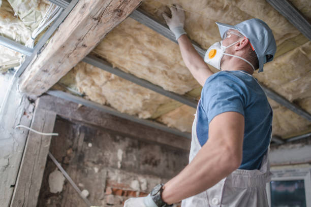 Best Wall Insulation Contractor  in Whitfield, FL