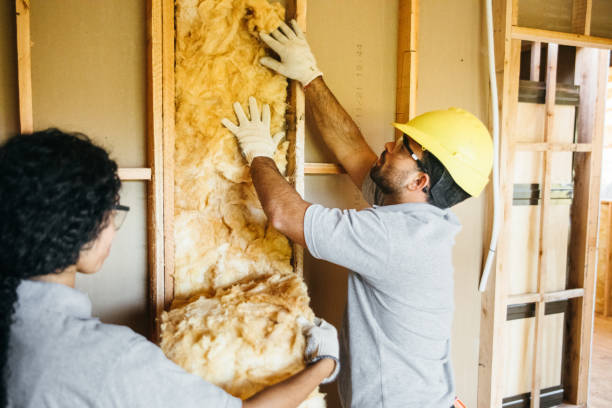 Best Professional Insulation Contractor  in Whitfield, FL